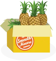 Pineapple Moving Box