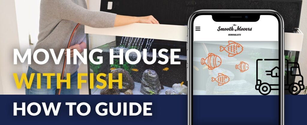 moving house with fish